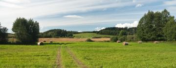 Obiekty na wynajem sezonowy w mieście Lipno