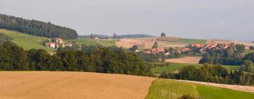 Hotels mit Parkplatz in Weinfelden