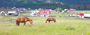 Parkolóval rendelkező hotelek Smidán