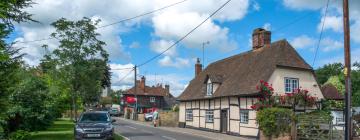 Cottages in Newnham