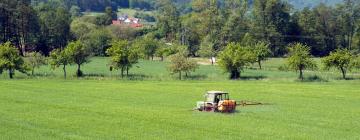 Alquileres vacacionales en Mossautal