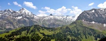 Hotels in Adelboden