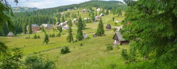 Parkolóval rendelkező hotelek Aranyosfőn