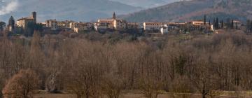 Отели с бассейном в городе Borgo alla Collina