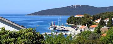 Hotels with Parking in Molat