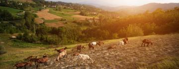 Hôtels avec parking à San Benigno Canavese