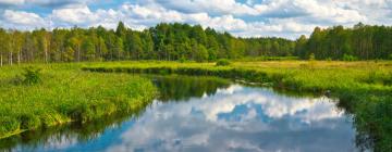 Hotell med parkering i Hołny Mejera