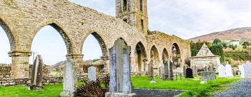 Mga Hotel na may Parking sa Baltinglass