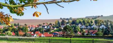 Hotels met Parkeren in Mosbach