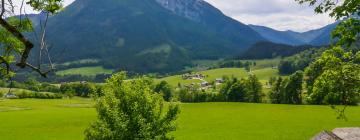 Holiday Rentals in Mitterbach