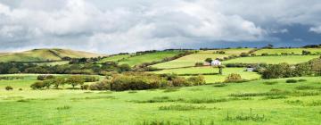 Hoteles que aceptan mascotas en Presteigne