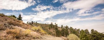 Hotels in Wrightwood