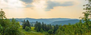 Holzschlag şehrindeki otoparklar