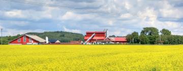 Отели с парковкой в городе Söderåkra