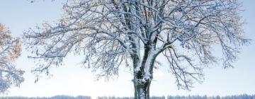 Hôtels avec parking à Les Bois