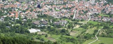 Apartments in Beuren