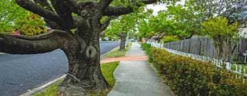 Cottages in Springwood