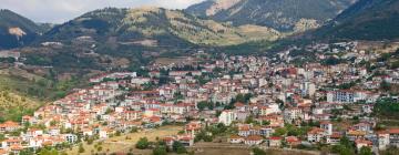 Guest Houses in Karpenisi