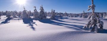 Hoteles en Kurort Altenberg