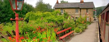 Holiday Homes in Levisham