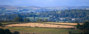 Cottages in Caersws