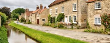 Cottages in Hovingham