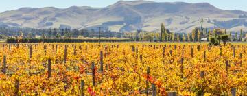 Hoteles con estacionamiento en Waipara