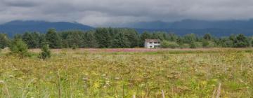 Günstiger Urlaub in Gustavus