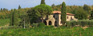 Cottages in Monti di Sotto