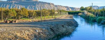 Hôtels pour les familles à Palisade