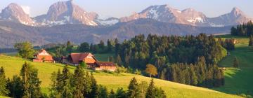 Apartments in Schwanden