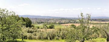 Holiday Rentals in Forcoli