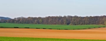 Hotels in Coye-la-Forêt