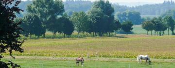 Hotels in Bogen