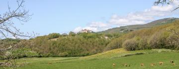 Holiday Rentals in Montieri