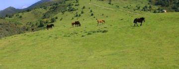 Alquileres temporarios en La Borbolla