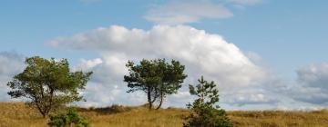 Ferieboliger i Hirschburg