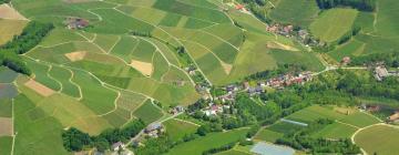 Apartments in Schuttertal