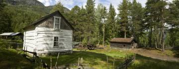 Cottages in Nesbyen