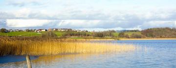 Hotels in Neumarkt am Wallersee