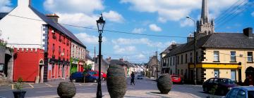 Hoteli u gradu Bagenalstown