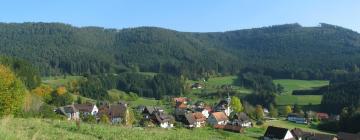 Apartments in Feilbingert