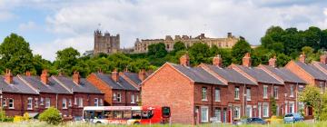 Pet-Friendly Hotels in Bolsover