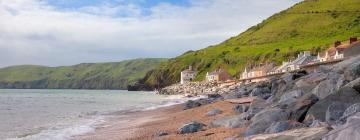 Bed and Breakfasts en Beesands