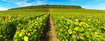 Bergères-lès-Vertus şehrindeki otoparklar