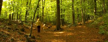 Rentas vacacionales en Sant Ferriol