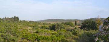 Vacation Rentals in Algoz