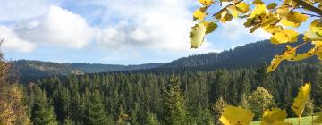 Chalets de montaña en Ujsoły