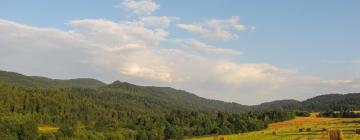 Cabane în Baligród