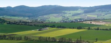 Hoteles en Gottenheim